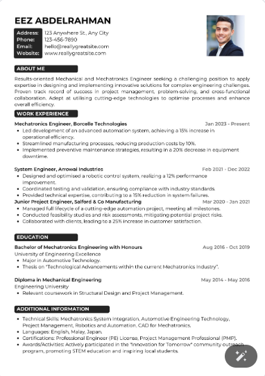 Professional CV Sample 21